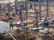 working hard working hard