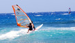 windsurfer