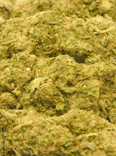 Photo: nug background nug background