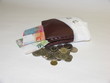 purse