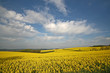 "einfach nur natur...5"