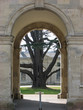 woburn abbey
