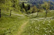 path