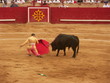corrida
