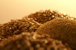oats and grains oats and grains