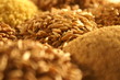 oats and grains oats and grains