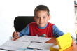 young boy doing homework
