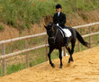 Image : galop de dressage