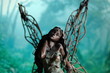 fairy in digital world