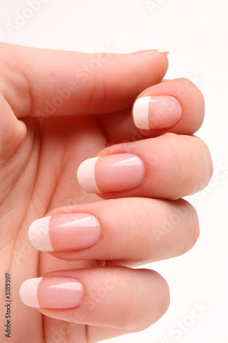 Photo: french manicure french manicure