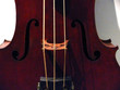 basse à trois cordes.
