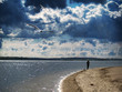  seagull dnipro sport