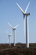 windfarm windfarm