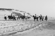 chevaux a la plage chevaux a la plage