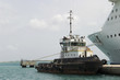 Foto: tugboat and cruise ship tugboat and cruise ship