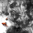 goldfish and ink
