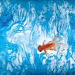 goldfish and ink2