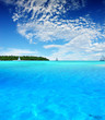 tropical fun