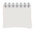 a white sheet of paper