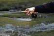 fisher in river
