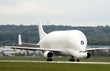 beluga taxi