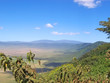 ngorongoro crater, serengeti park, tanzania