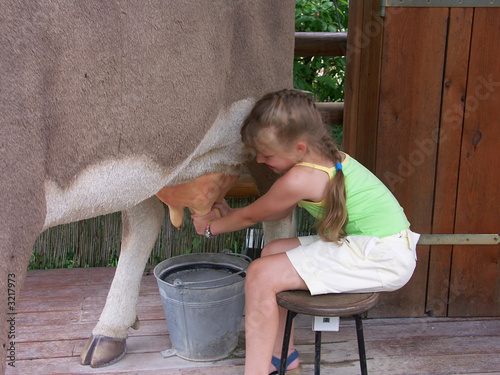 Photo: cow and girl 02 cow and girl 02