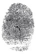 fingerprint