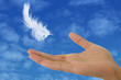 feather on hand iii