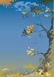 Photo: autumn tree autumn tree