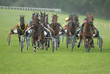 Foto: course de trot attelé course de trot attelé