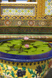 water lily in urn