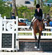 equestrian