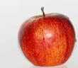 red apple 05