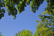natural frame natural frame