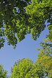 natural frame natural frame