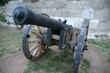 eger cannon