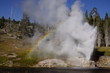 Geyser Yellowstone Geyser Yellowstone