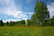 floral glade