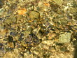 water ripples