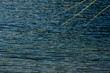 children fishing