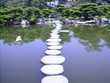 stepping stones stepping stones