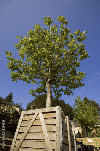 jardinerie