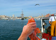 marseille