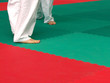 karatekas