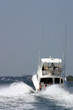 speedy yacht