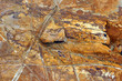 brown stone