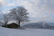 after the storm