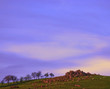 rock outcrop