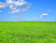 idyllic scenery idyllic scenery